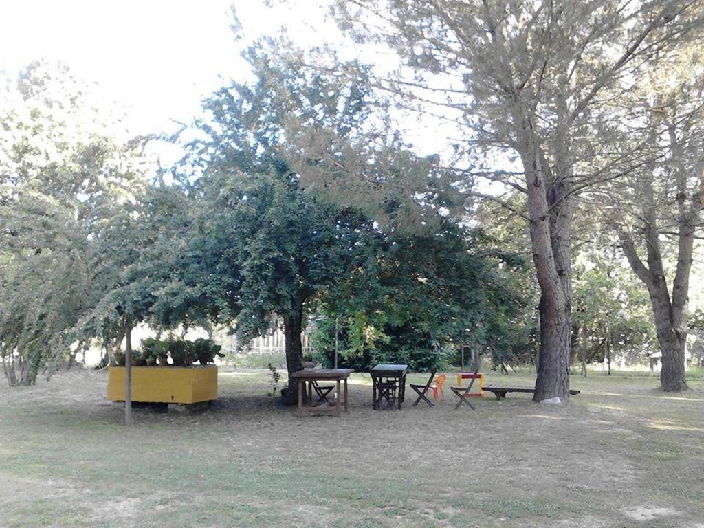 Campo Alle Monache Bucine Extérieur photo