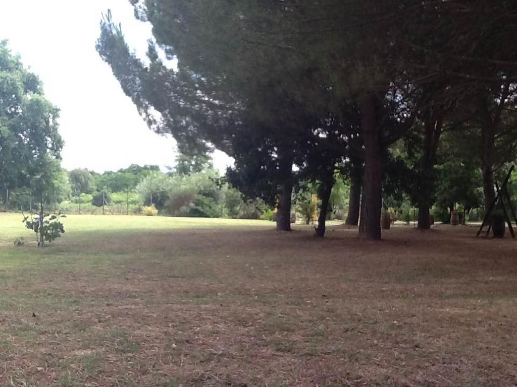 Campo Alle Monache Bucine Extérieur photo