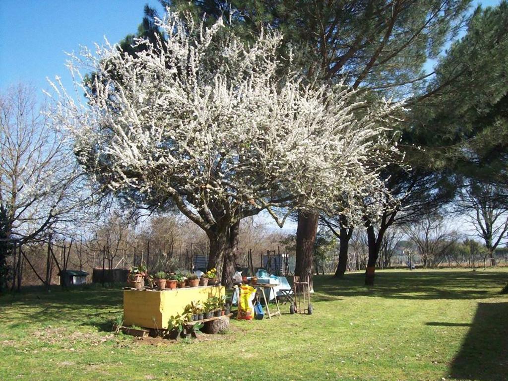 Campo Alle Monache Bucine Extérieur photo