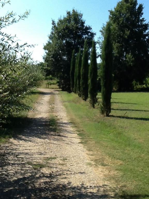 Campo Alle Monache Bucine Extérieur photo
