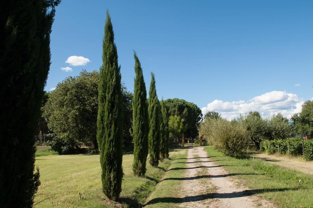 Campo Alle Monache Bucine Extérieur photo