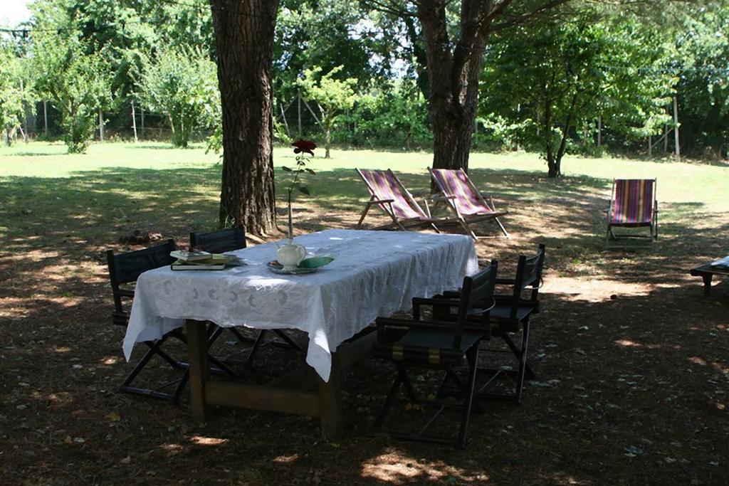 Campo Alle Monache Bucine Extérieur photo