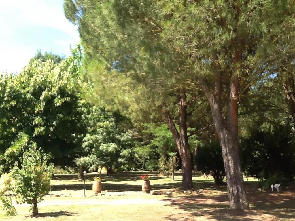 Campo Alle Monache Bucine Extérieur photo
