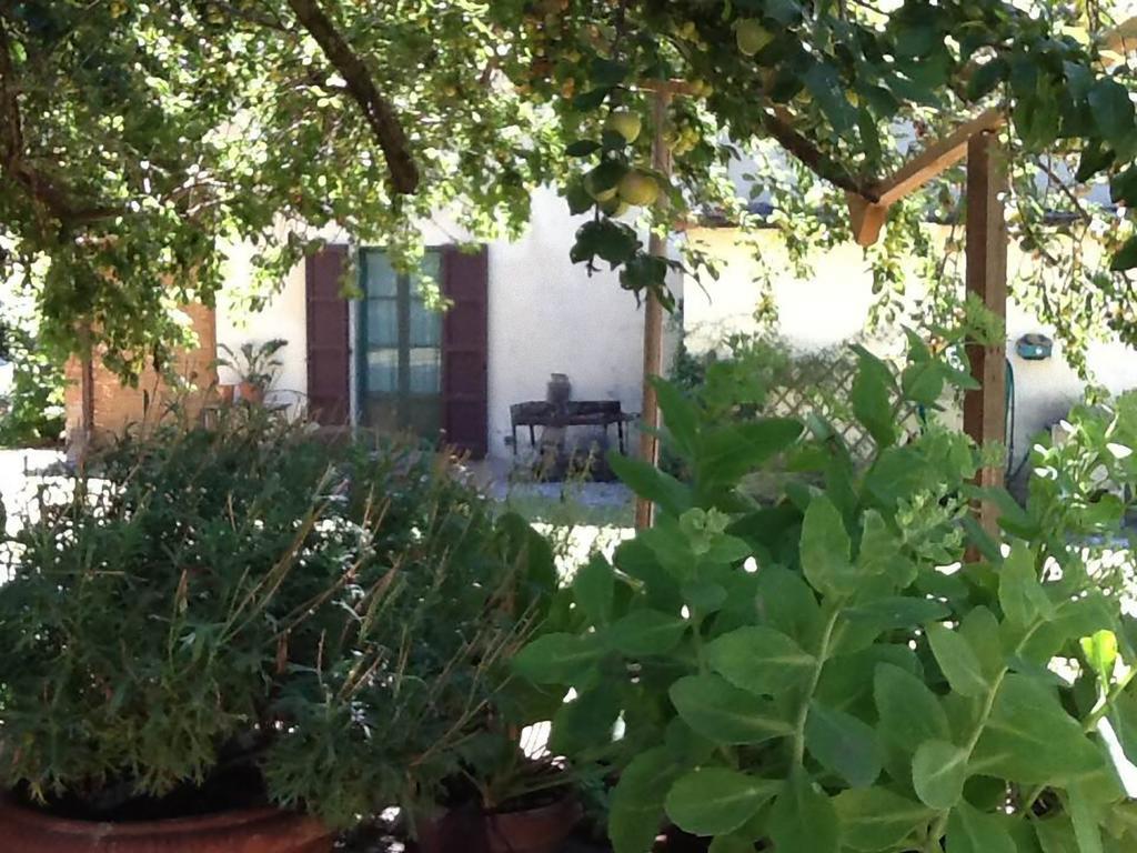 Campo Alle Monache Bucine Extérieur photo
